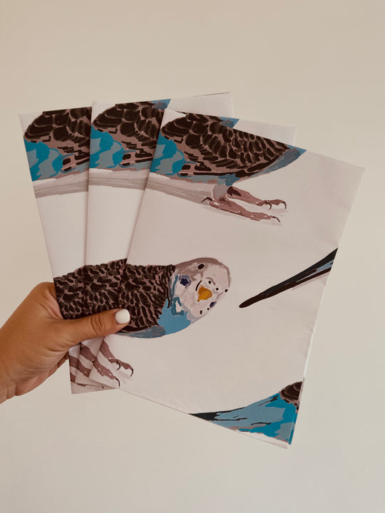 Gift Wrap - White Budgies 6-pack