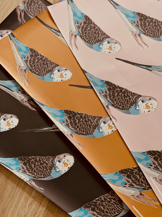 Gift Wrap - Mixed Budgies 3-pack